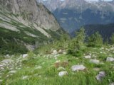 thumbnails/022-IMG_4514_1.JPG.small.jpeg