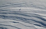 Filename=nivo_08_006.jpg
Filesize=122KB
Dimensions=800x503
Date added=Jan 21, 2008 nivo_08_006.jpg