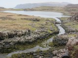 thumbnails/000-IMG_3878.JPG.small.jpeg