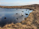 thumbnails/038-IMG_4187.JPG.small.jpeg