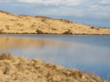 thumbnails/039-IMG_4190.JPG.small.jpeg