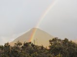 thumbnails/004-IMG_4209.JPG.small.jpeg