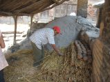 thumbnails/041-katm_baktapur042.jpg.small.jpeg