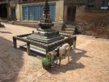 thumbnails/046-katm_baktapur047.jpg.small.jpeg