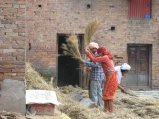 thumbnails/049-katm_baktapur050.jpg.small.jpeg