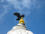 thumbnails/010-trek_apres_Baruntse099.jpg.small.jpeg