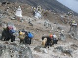 thumbnails/029-trek_apres_Baruntse118.jpg.small.jpeg