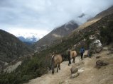 thumbnails/031-trek_apres_Baruntse120.jpg.small.jpeg