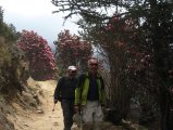 thumbnails/053-trek_apres_Baruntse142.jpg.small.jpeg