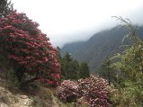 thumbnails/054-trek_apres_Baruntse143.jpg.small.jpeg