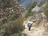 thumbnails/055-trek_apres_Baruntse144.jpg.small.jpeg
