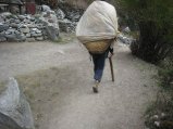 thumbnails/062-trek_apres_Baruntse151.jpg.small.jpeg