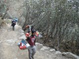 thumbnails/071-trek_apres_Baruntse160.jpg.small.jpeg