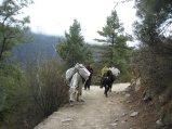 thumbnails/072-trek_apres_Baruntse161.jpg.small.jpeg