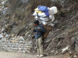 thumbnails/073-trek_apres_Baruntse162.jpg.small.jpeg