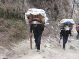 thumbnails/083-trek_apres_Baruntse172.jpg.small.jpeg
