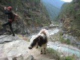thumbnails/085-trek_apres_Baruntse174.jpg.small.jpeg