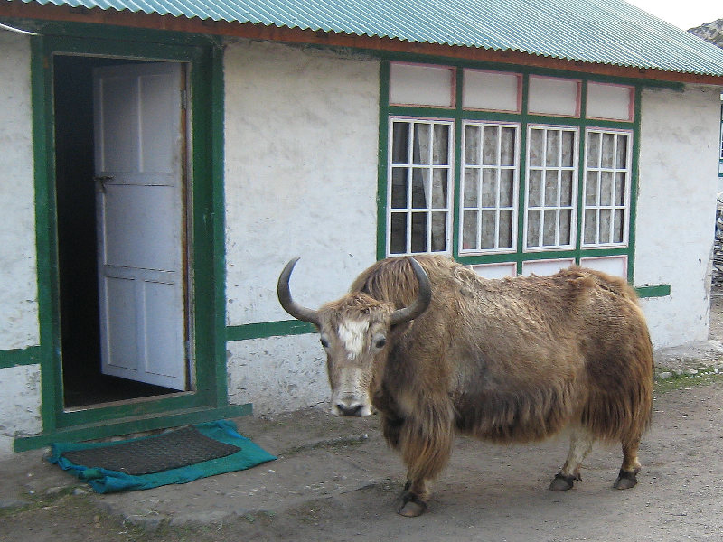 ../trek_apres_Baruntse108.jpg