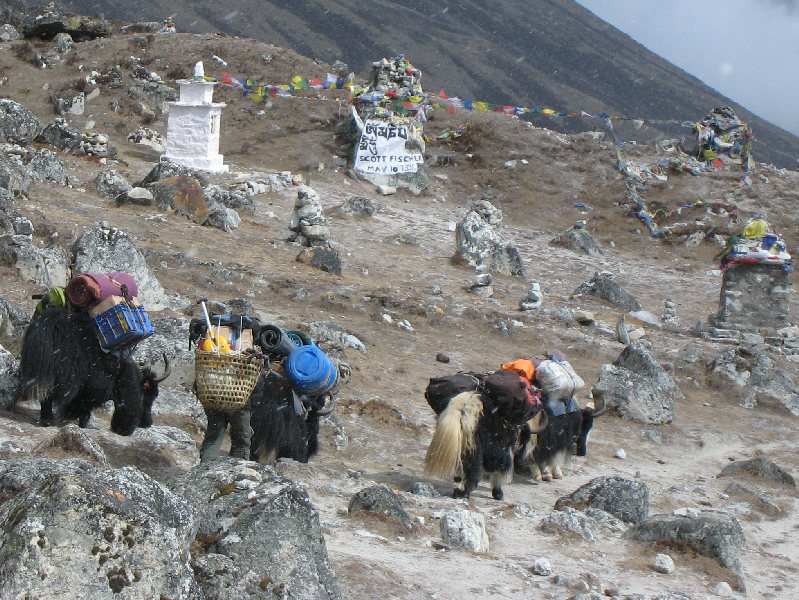 ../trek_apres_Baruntse118.jpg