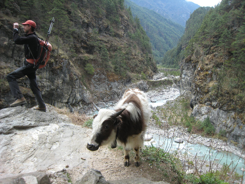 ../trek_apres_Baruntse174.jpg