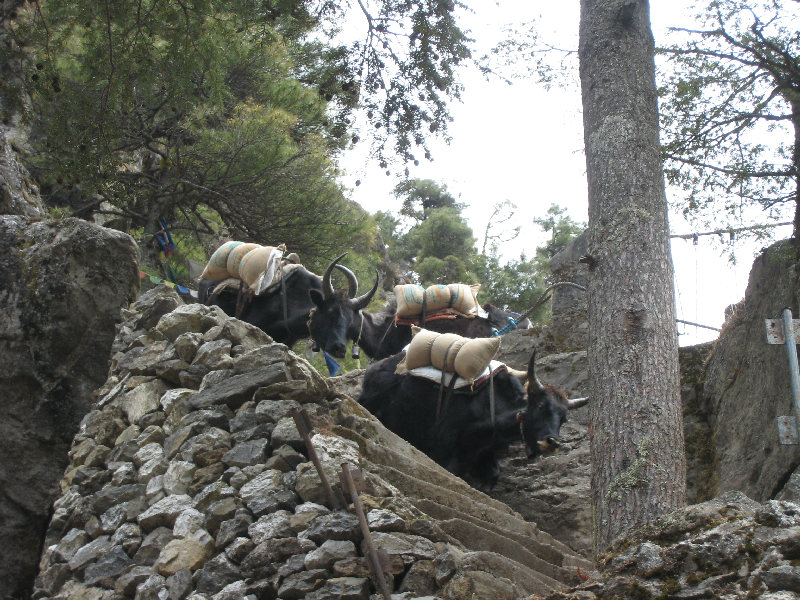 ../trek_apres_Baruntse175.jpg