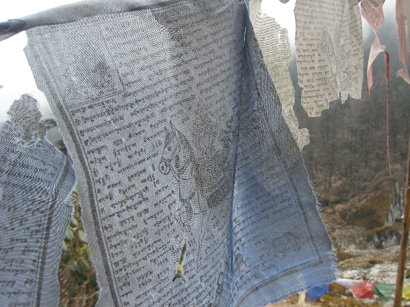 ../avantCB_027.jpg