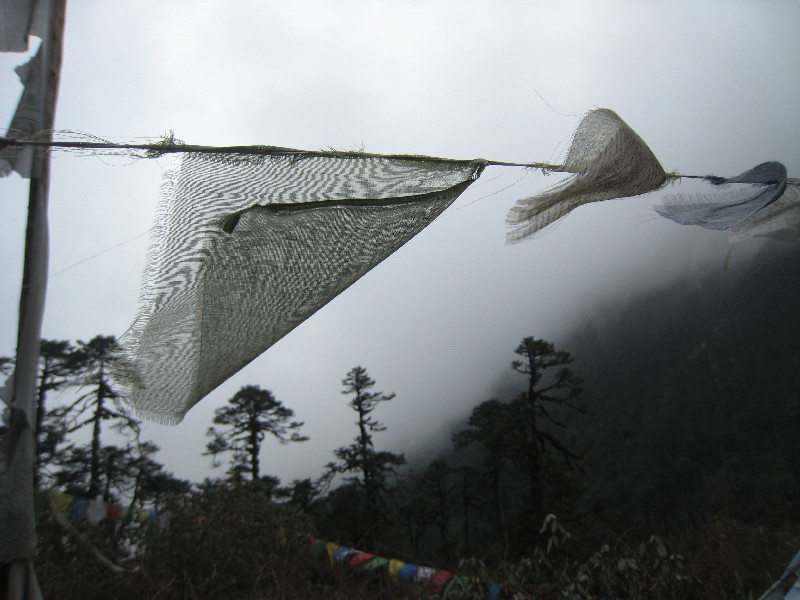 ../avantCB_028.jpg