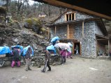 thumbnails/020-avantCB_020.jpg.small.jpeg