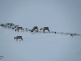 thumbnails/025-keb_129.jpeg.small.jpeg