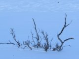 thumbnails/012-keb_249.jpeg.small.jpeg