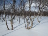 thumbnails/019-keb_284.jpeg.small.jpeg