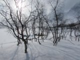 thumbnails/021-keb_288.jpeg.small.jpeg