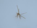 thumbnails/018-keb_351.jpeg.small.jpeg