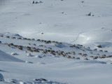 thumbnails/008-keb_435.jpeg.small.jpeg